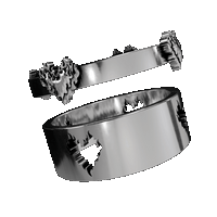 Forever Lovers Ring Set